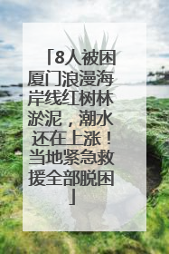 8人被困厦门浪漫海岸线红树林淤泥，潮水还在上涨！当地紧急救援全部脱困