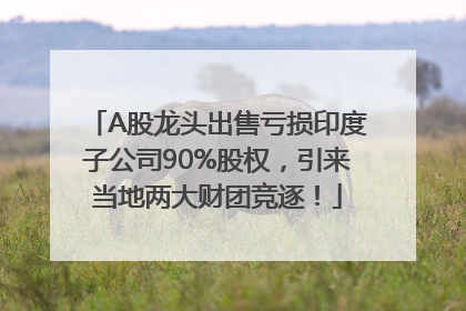 A股龙头出售亏损印度子公司90%股权，引来当地两大财团竞逐！