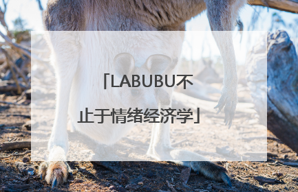 LABUBU不止于情绪经济学